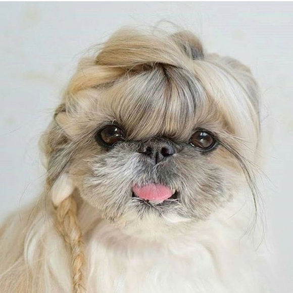 Meet your Posher, Virginia - Picture 1 of 1