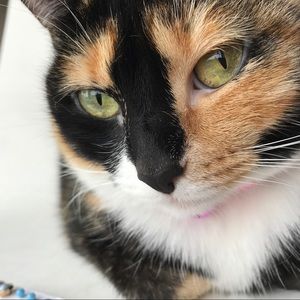 The Princess of my Castle