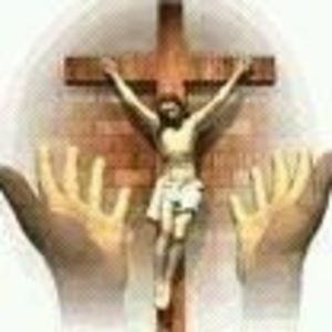 Meet your Posher, Dion