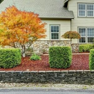 Meet your Posher, Eugenie