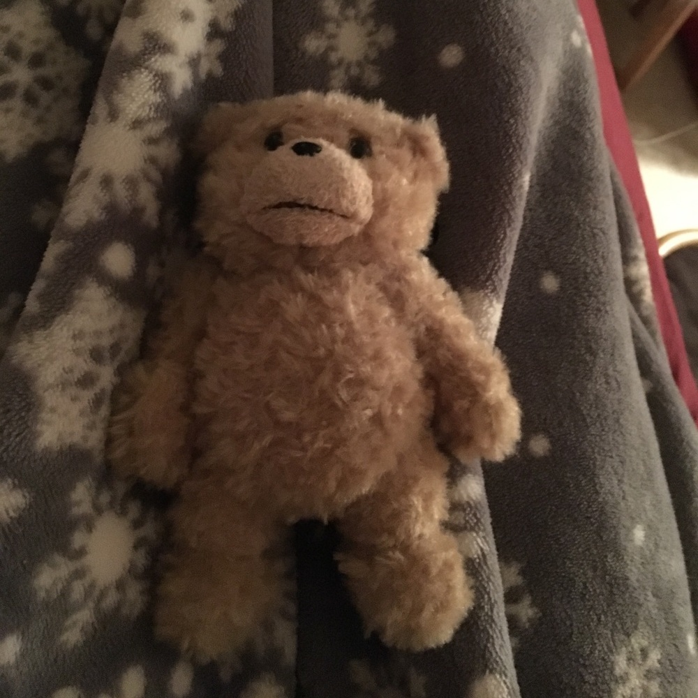 Talking TED bear