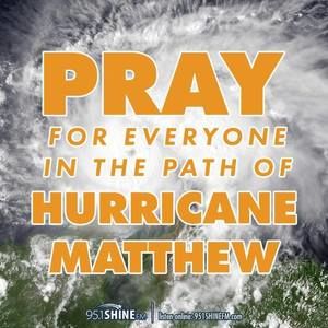 Meet your Posher, Bruce