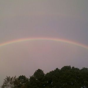 Meet your Posher, Shaneka