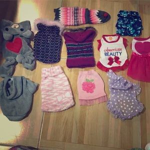 Dog clothing bundle! Size Xxs and small :)