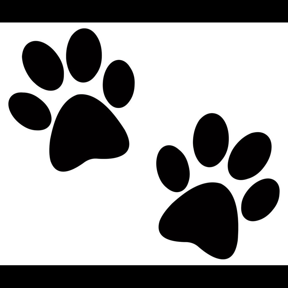 Meet your Posher, Savanah