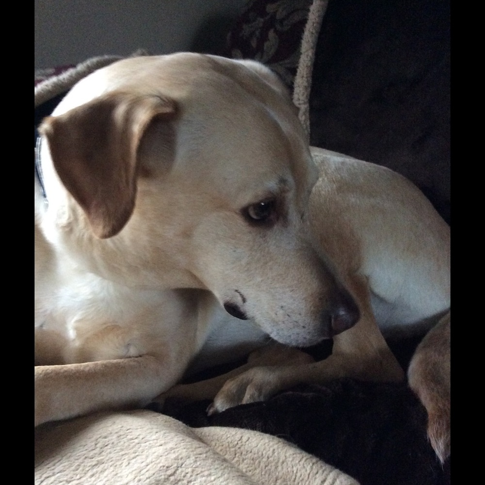 Meet your Posher, Margaret