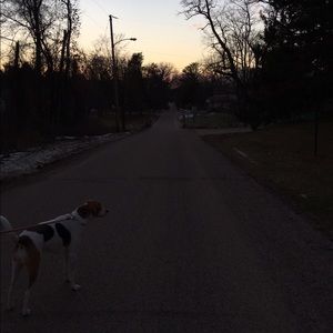 Meet your Posher, Lylli