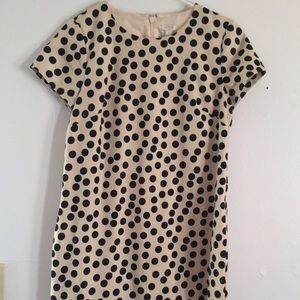 Jcrew Polka dot Shift Dress
