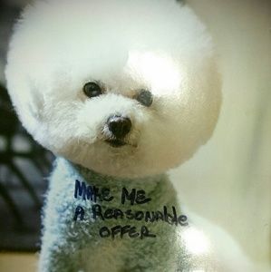 bundle 2 item 15 % off  make an offer free shipping on order of 50 or more.