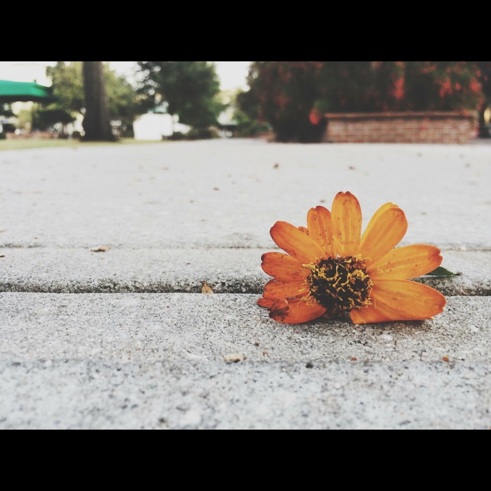 Meet your Posher, Melissa