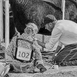 Meet your Posher, Adam