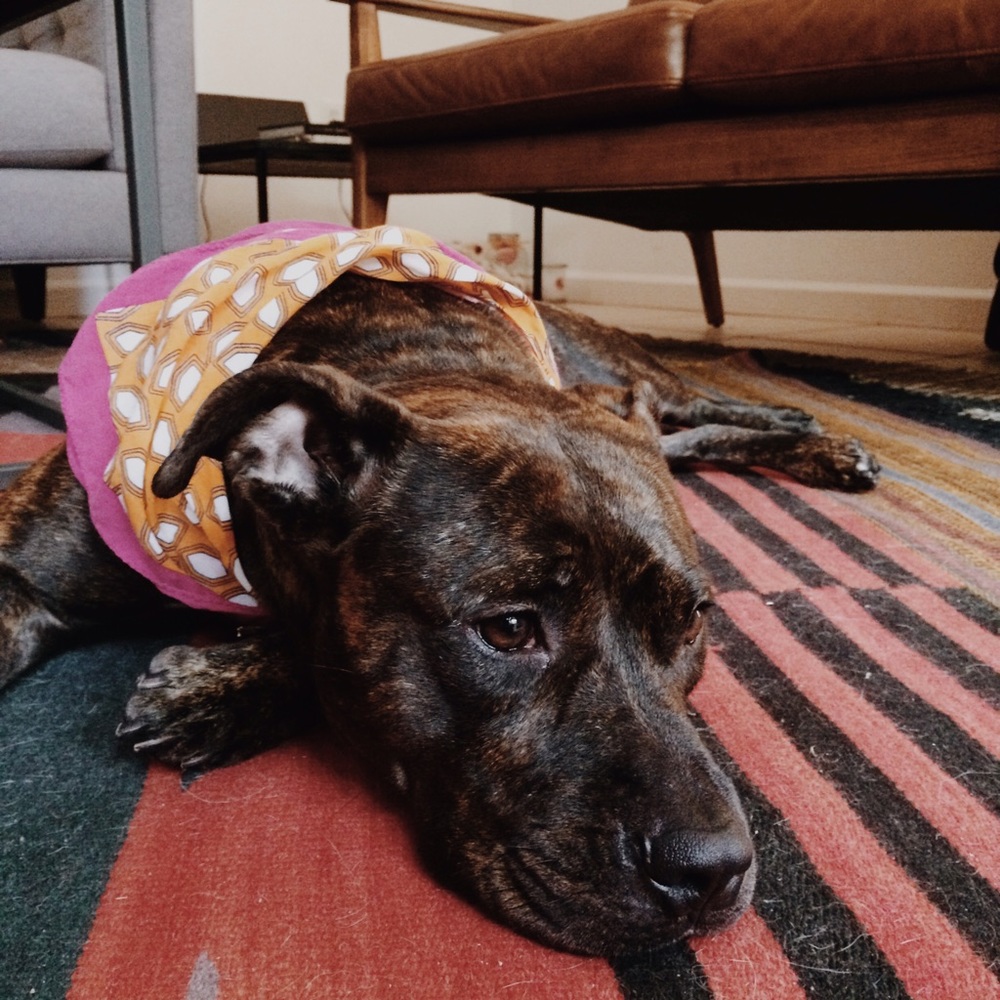 Hello! - Picture 3 of 4