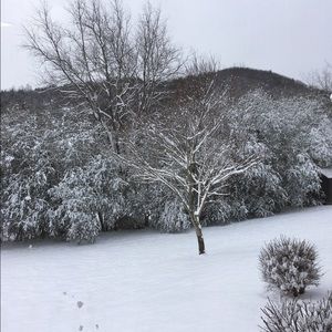 Meet your Posher, Ellen