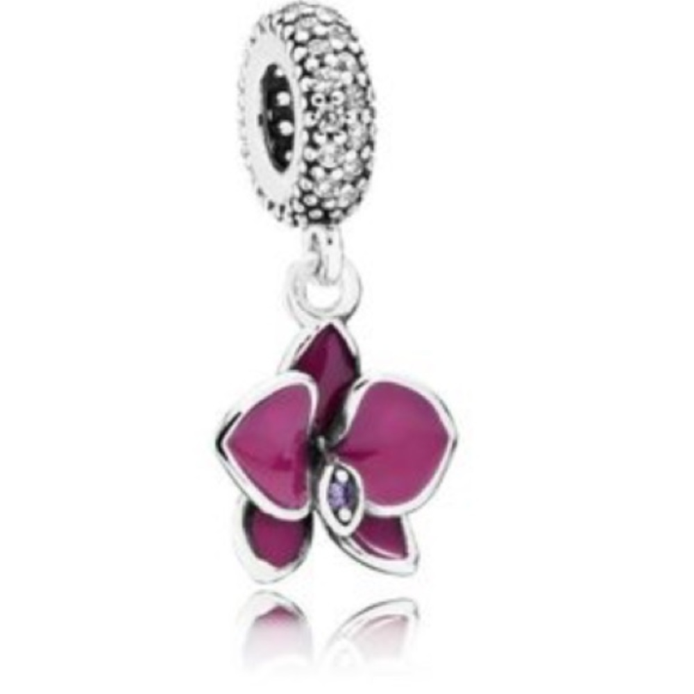 Pandora charm