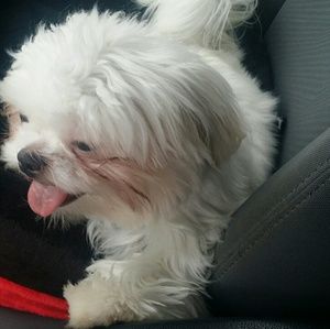 Meet your Posher, Rosetta