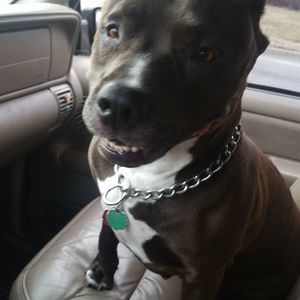 Meet your Posher, Natalie