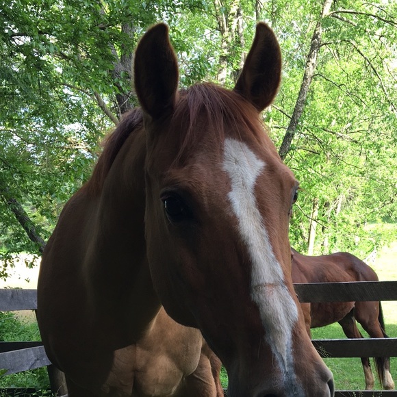 Meet your Posher!!! - Picture 6 of 7