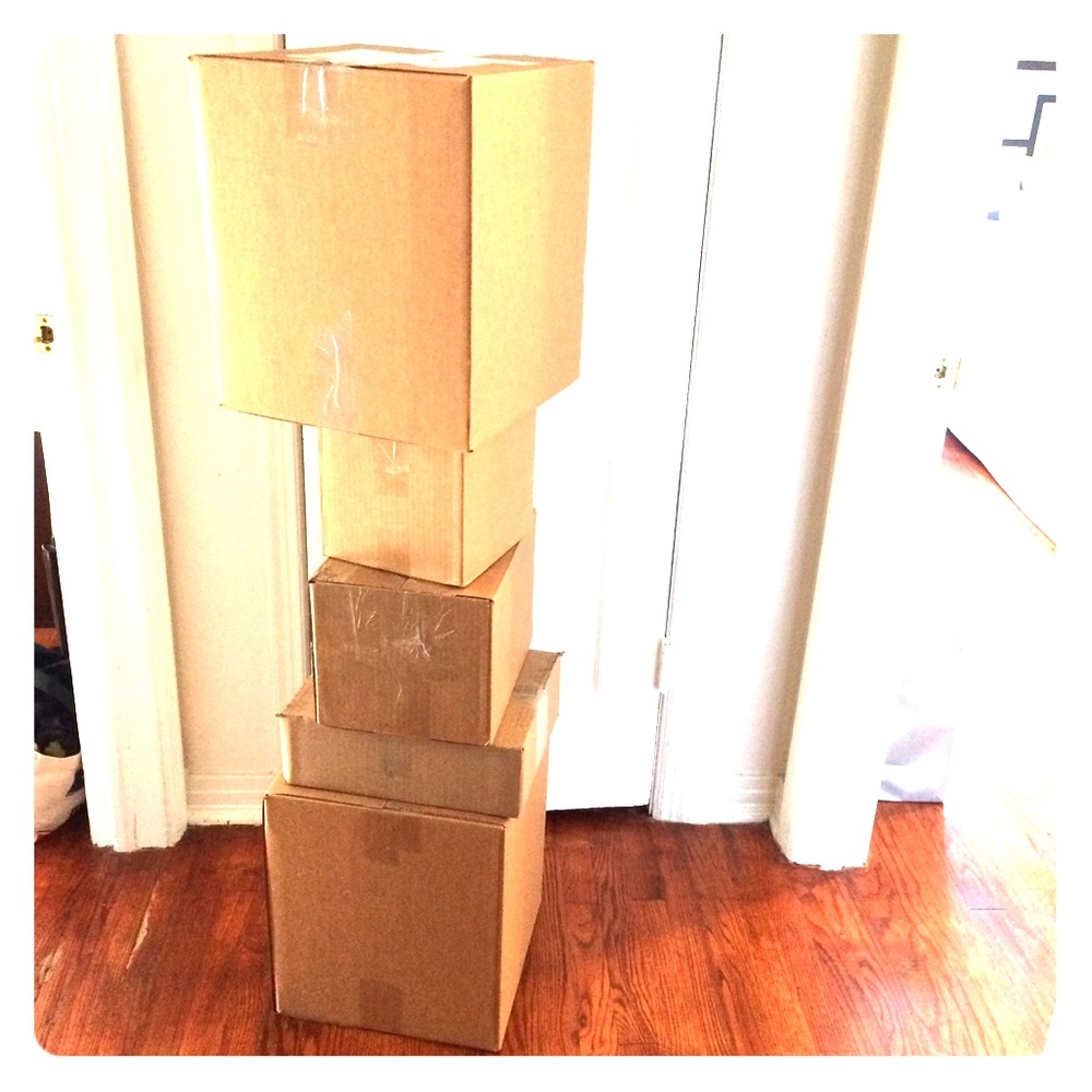 📦 Busy 🐝 Week 📦