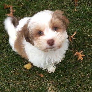 Meet your Posher, Haley