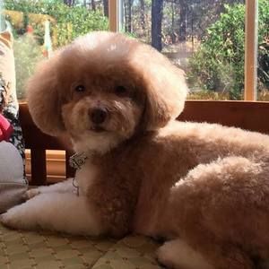 Meet your Posher, Cathy