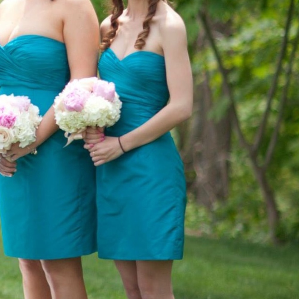 J. CREW stunning formal dress