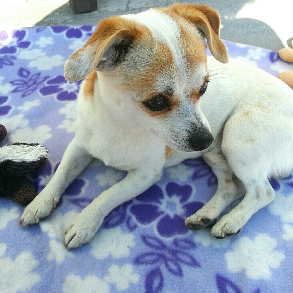 Meet your Posher, Ingrid