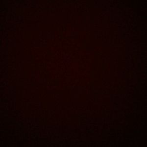 Meet your Posher, Savannah