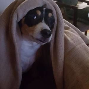 Meet your Posher, Joanne