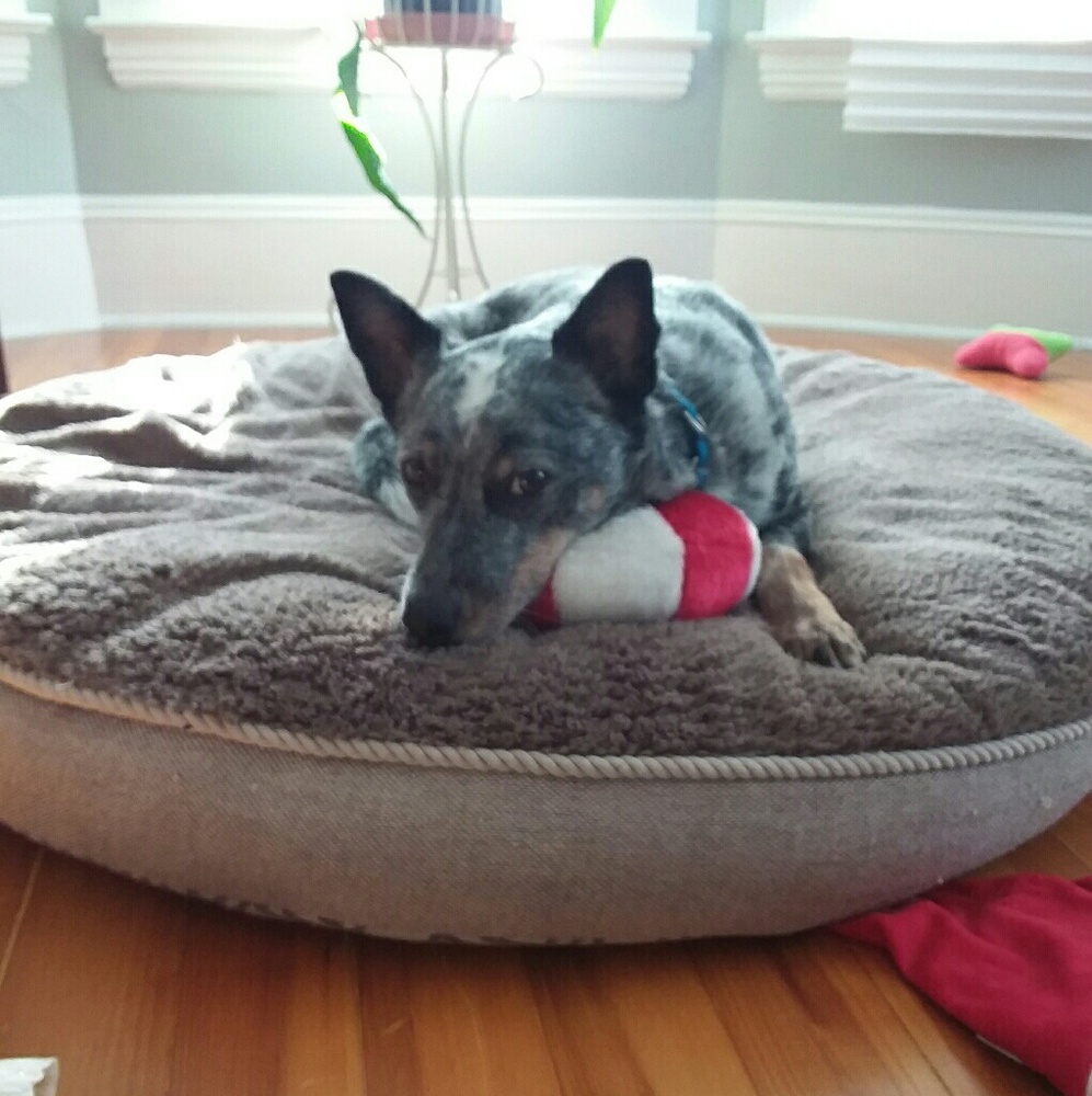 Meet your Posher, Alexandra