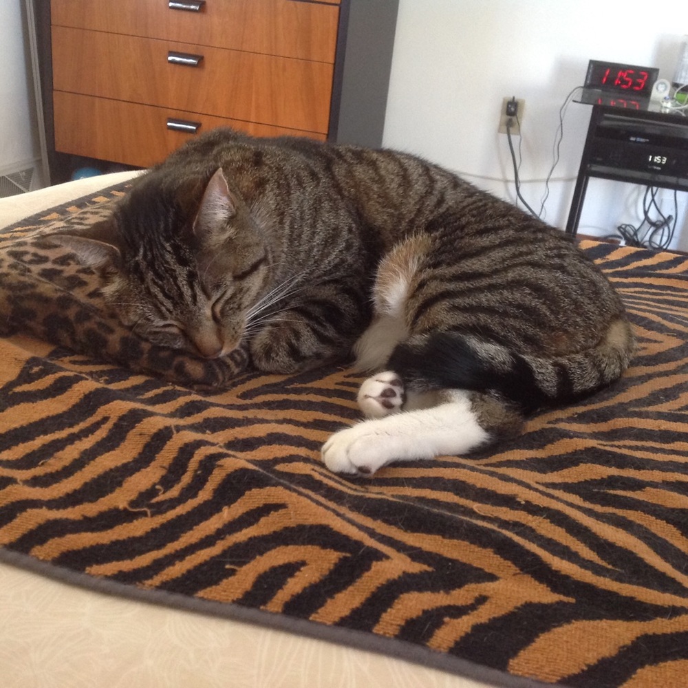 Meet your Posher, Inna