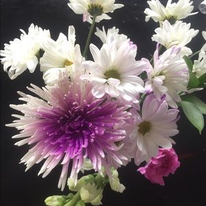 Meet your Posher, Alivia