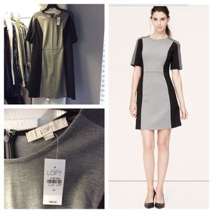 NWT LOFT Fit & Flare Dress