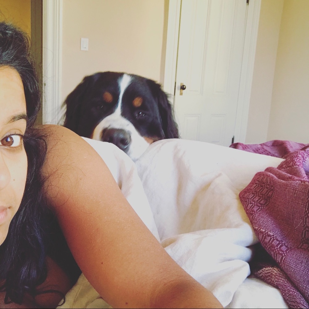 Meet your Posher, Avanti