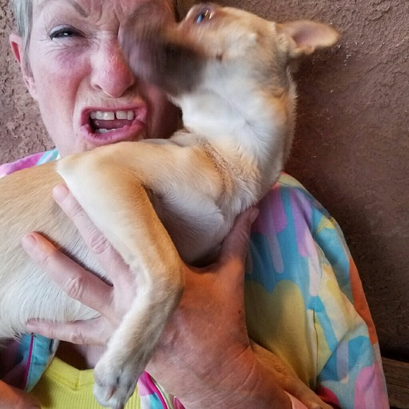 MY FOSTERS - Picture 4 of 4