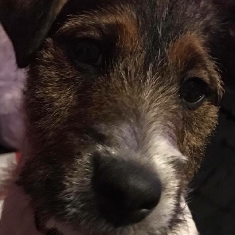 Meet your Posher, Lexi