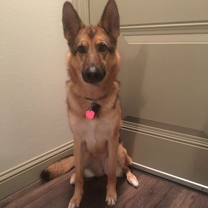 Meet your Posher, Crystal