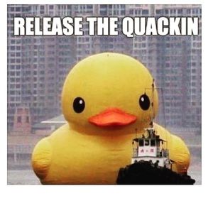 Meet your Posher, Moira