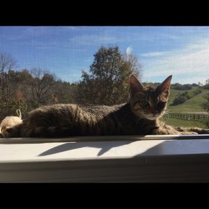 Meet your Posher, Jessy