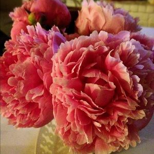 Meet your Posher, Hisae