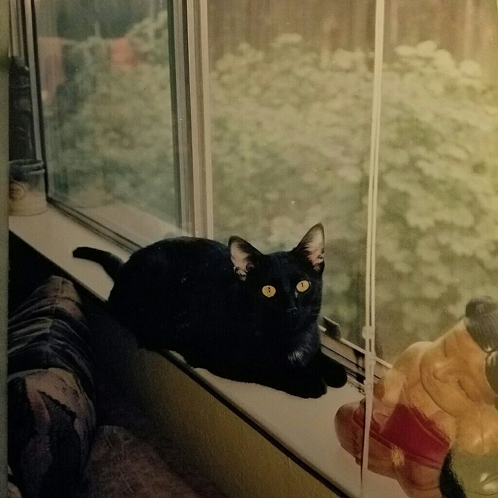 Meet your Posher, Jean