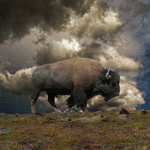 Meet your Posher, Lynne