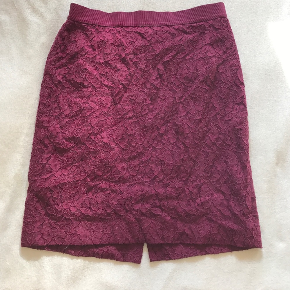 Ann Taylor Lace Pencil Skirt