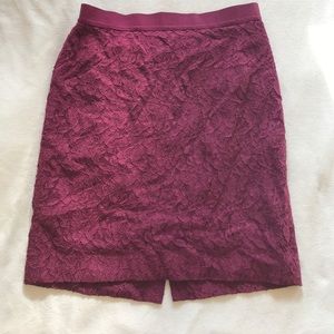 Ann Taylor Lace Pencil Skirt