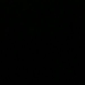 Meet your Posher, Isabel