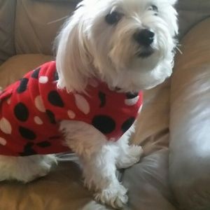 Meet your Posher, Jaime