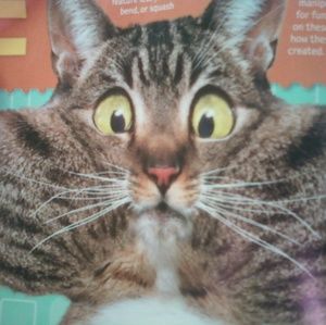 Meet your Posher, Sheree