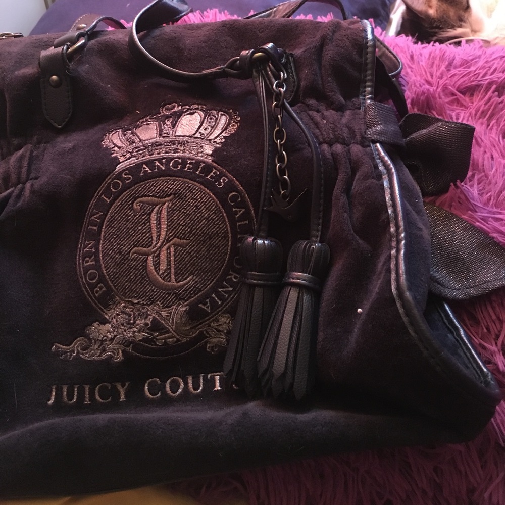 Velvet Juicy Couture Purse