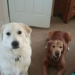 Meet your Posher, Beth