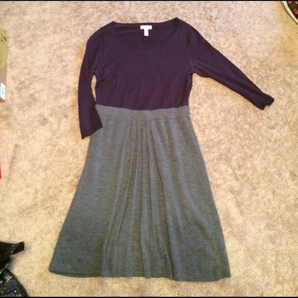Winter Land's End Merino Wool Dress