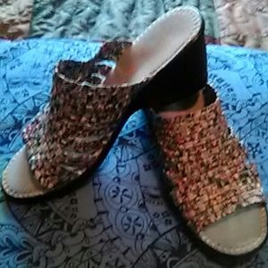 Really cute Bernie mev.